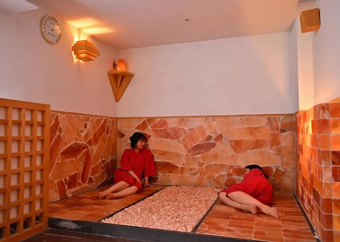 Himeji Castle Grandvrio Hotel
